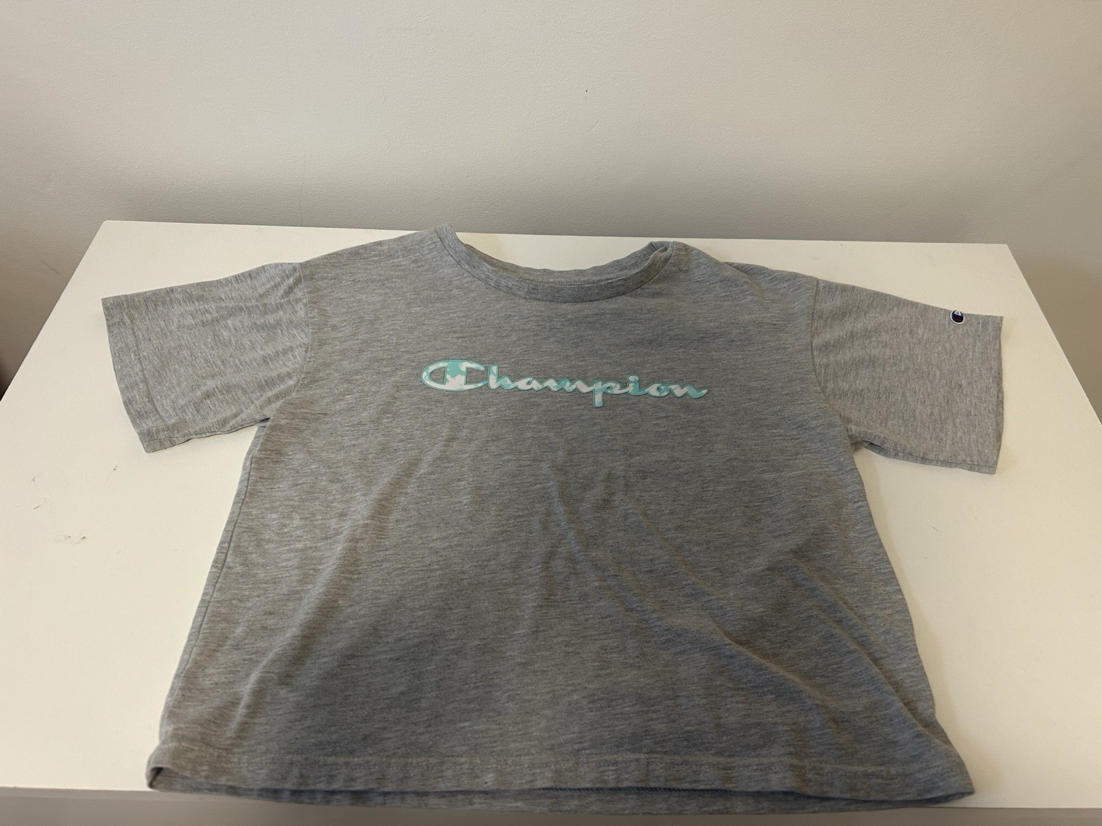 Champion Women’s Gray Logo Lightweight Knit Cotton Crew Neck T-Shirt Size L