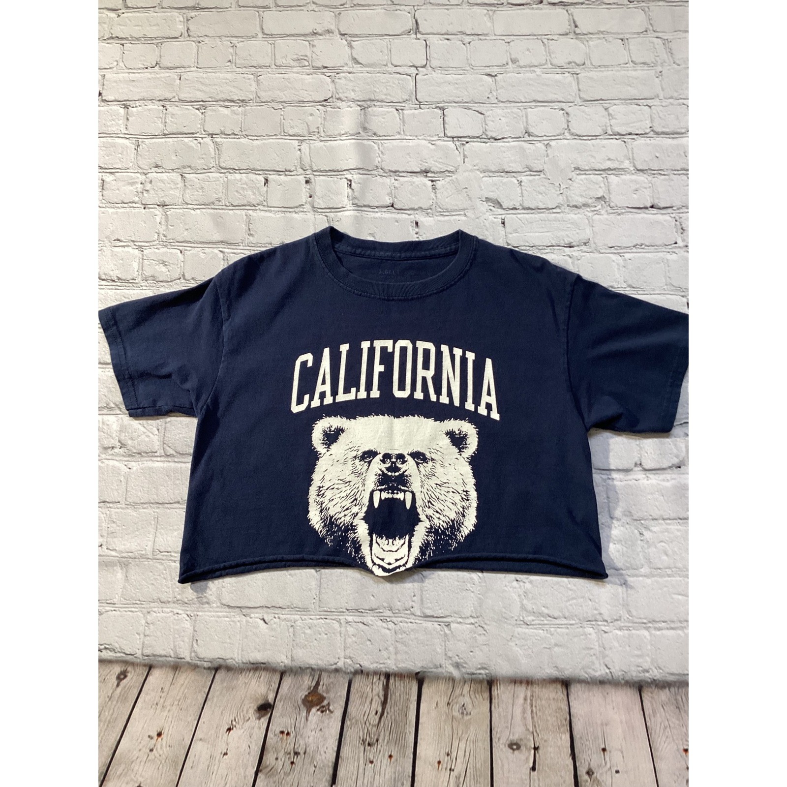 Brandy Melville J Galt California Bear Graphic Crop Top Navy Blue One Size
