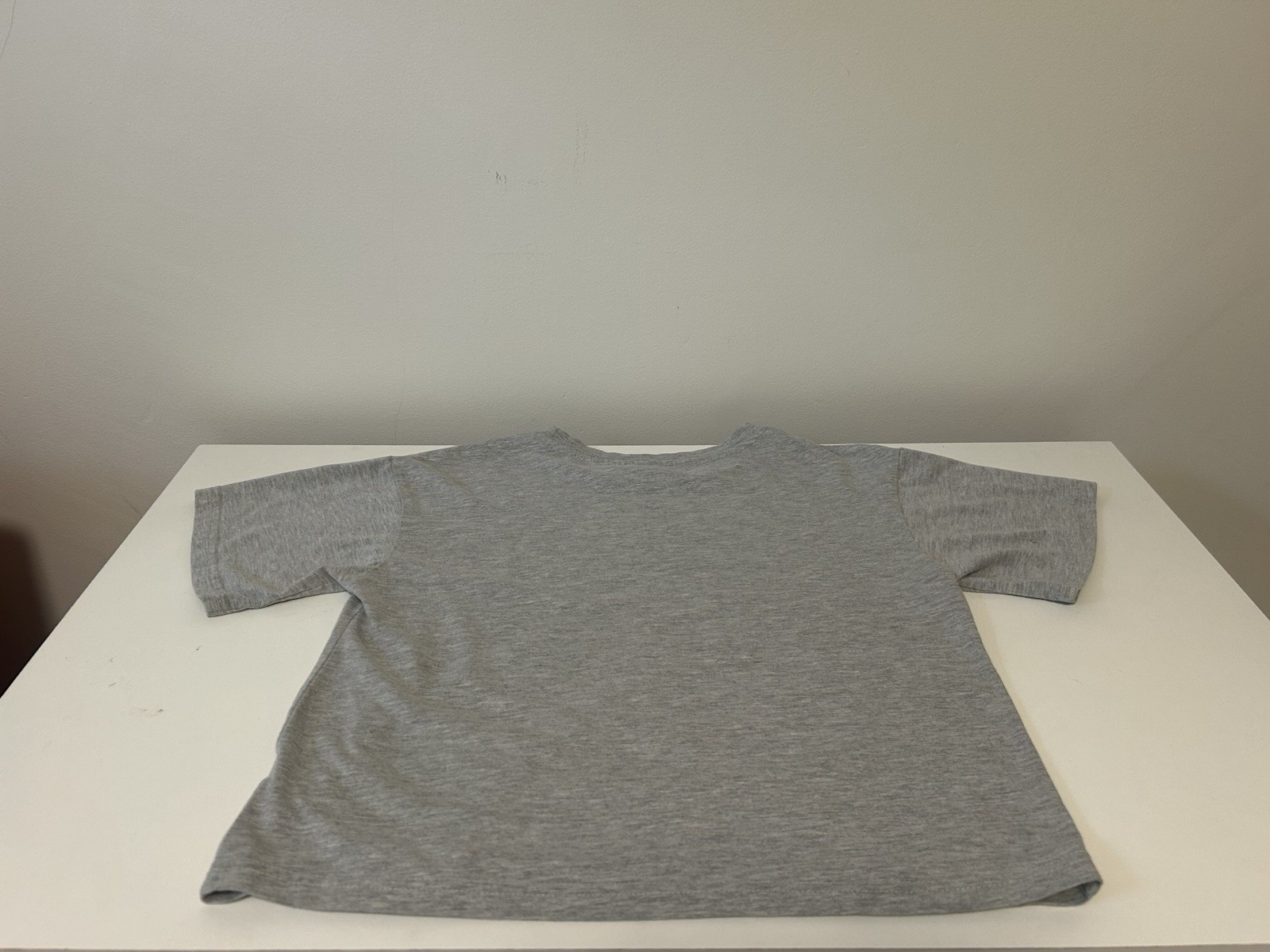 Champion Women’s Gray Logo Lightweight Knit Cotton Crew Neck T-Shirt Size L