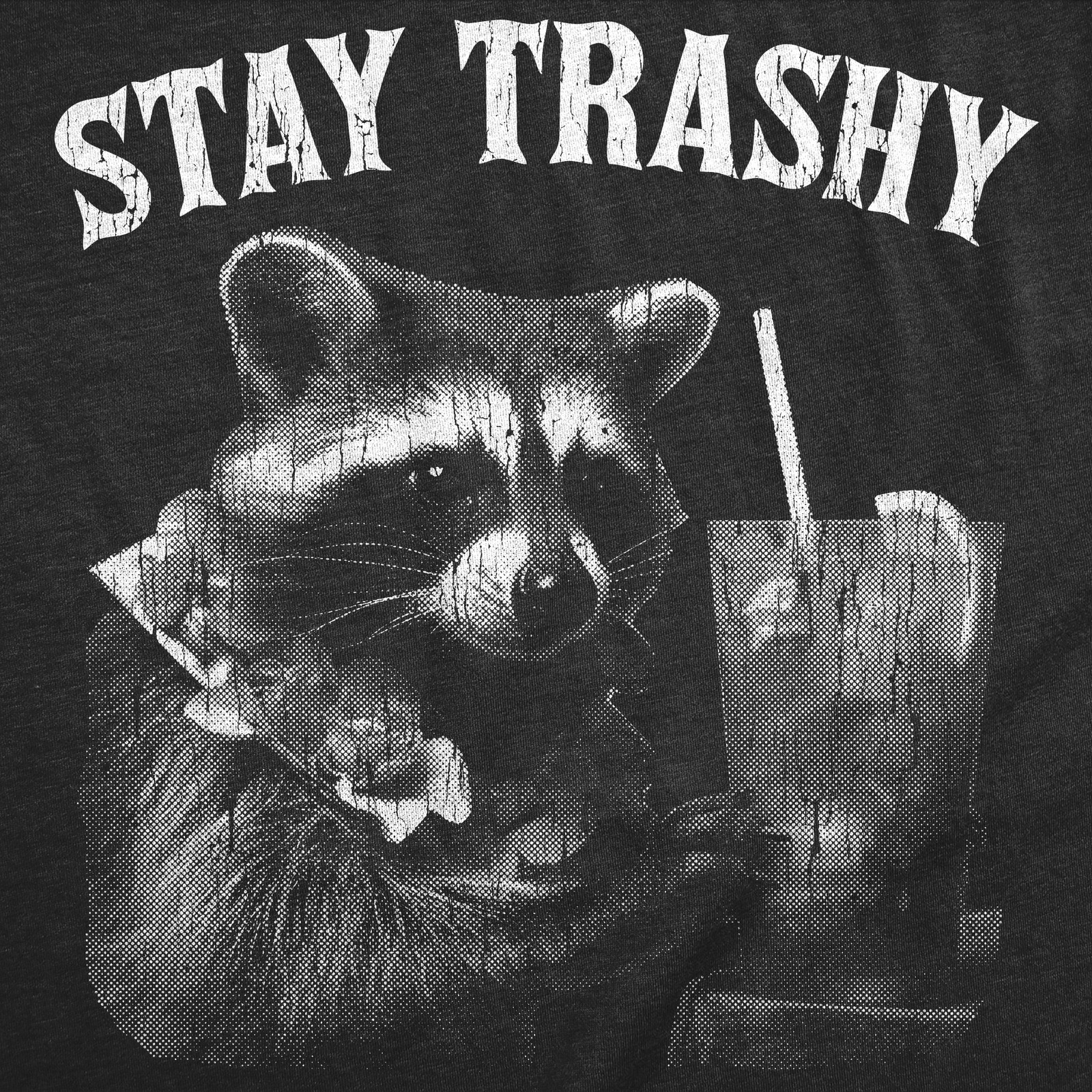 Womens Funny T Shirts Stay Trashy Sarcastic Raccoon Graphic Novelty Partying Tee