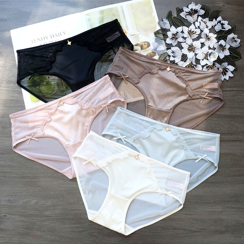 5 Pack Lot Sexy Womens Satin Panties Briefs Sheer See Through Underwear Lingerie