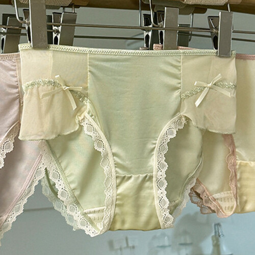 5 Pack Lot Sexy Womens Thin Satin Panties Briefs Sheer French Ladies Lingeries