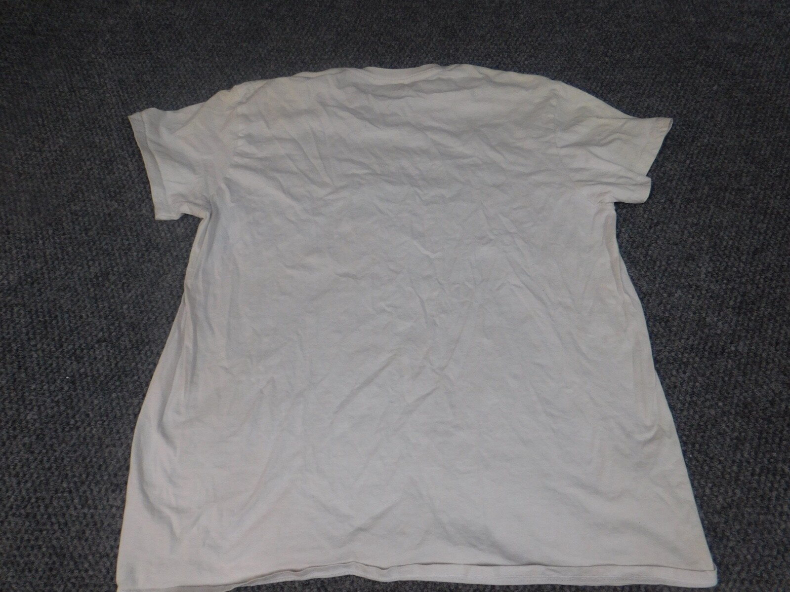Brisco Brands Womens Shirt Large White Colorado graphic