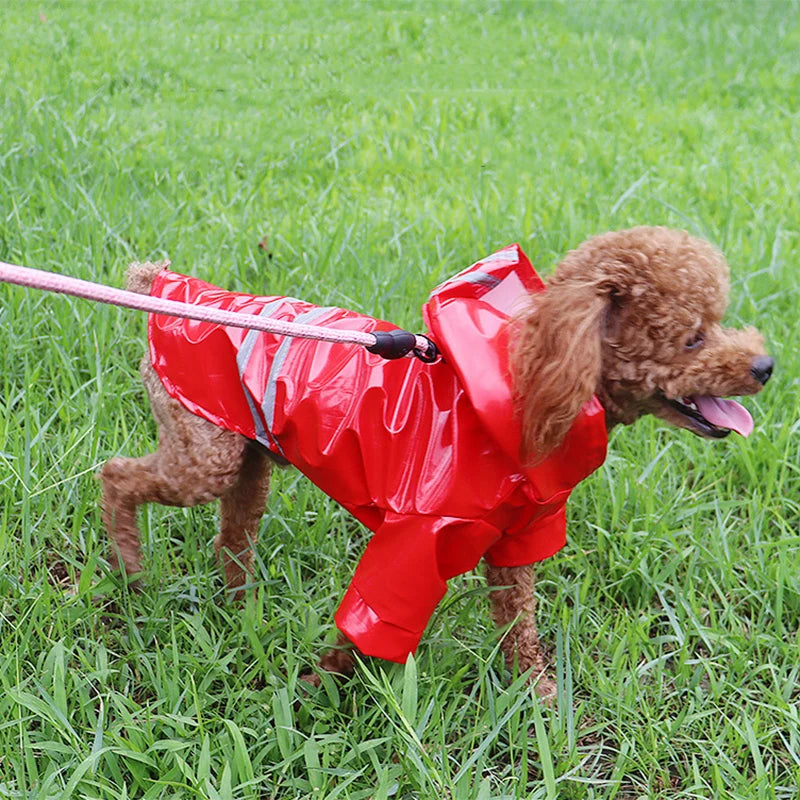 Capa de Chuva Colorida para Pets