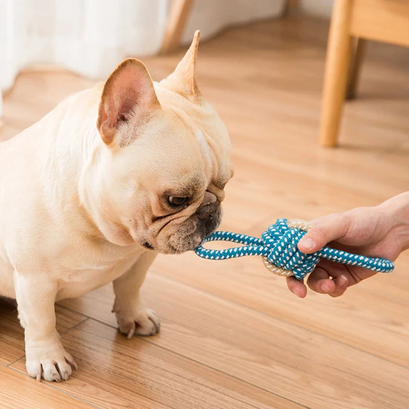 Brinquedos de Corda Interativa para Cães