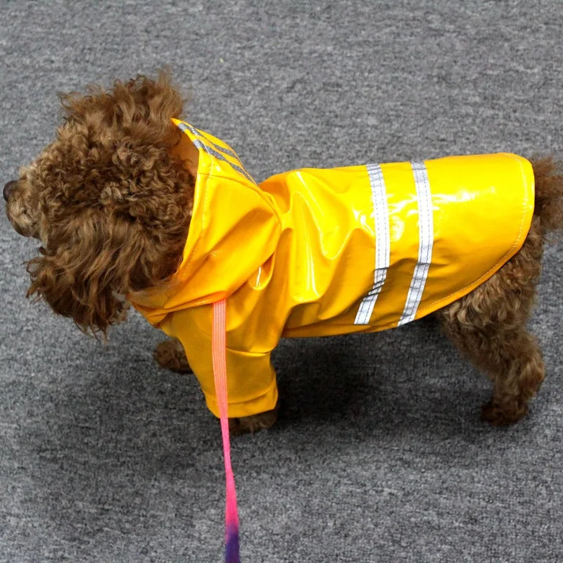 Capa de Chuva Colorida para Pets