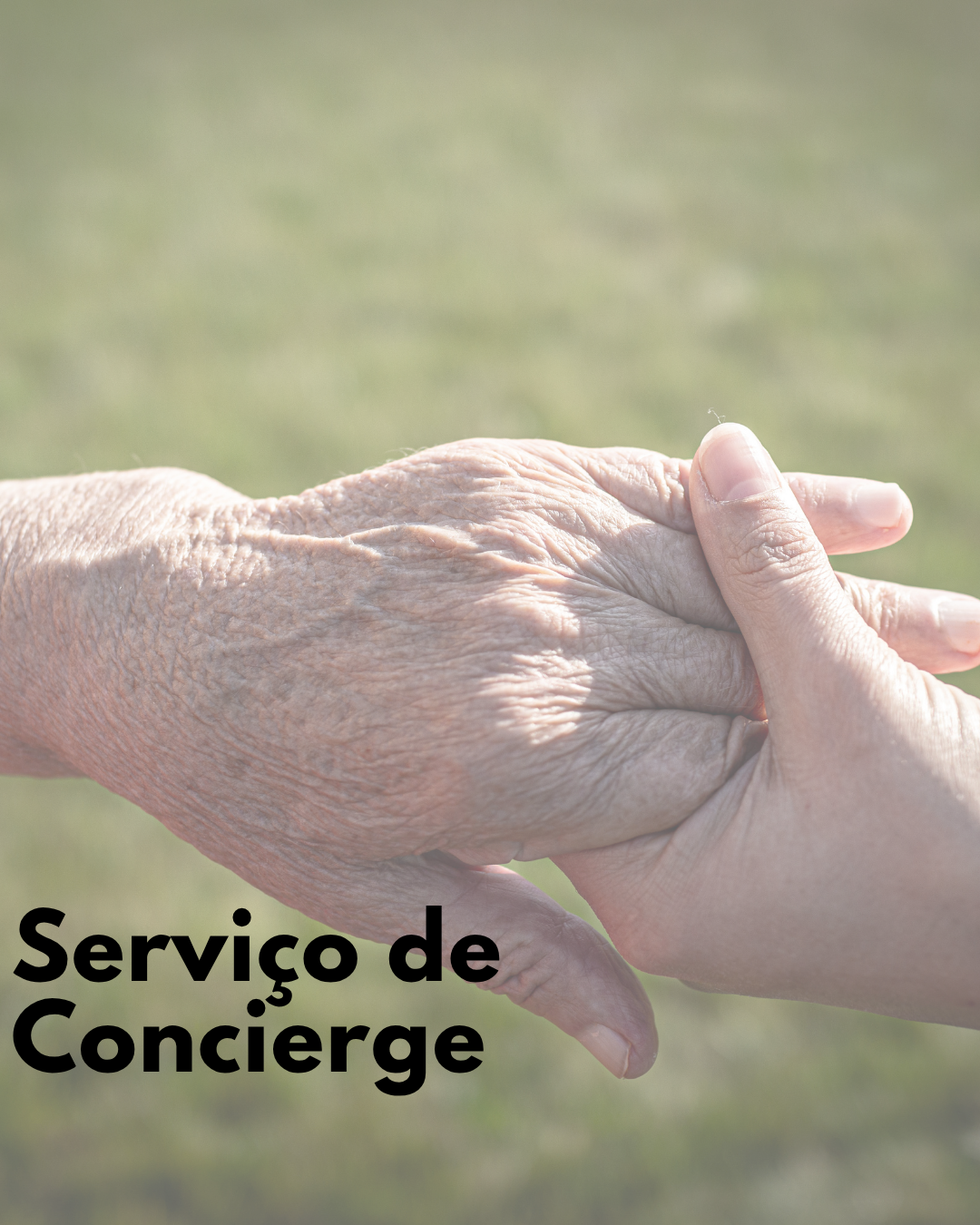 Gestão do tempo feed (3)